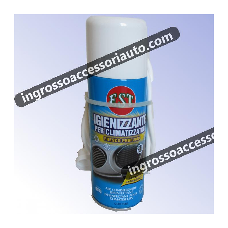 Igienizzante per climatizzatore spray (200ml)